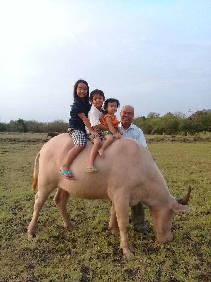 Ban Khok Krathiam Wanlapa Farmstay מראה חיצוני תמונה