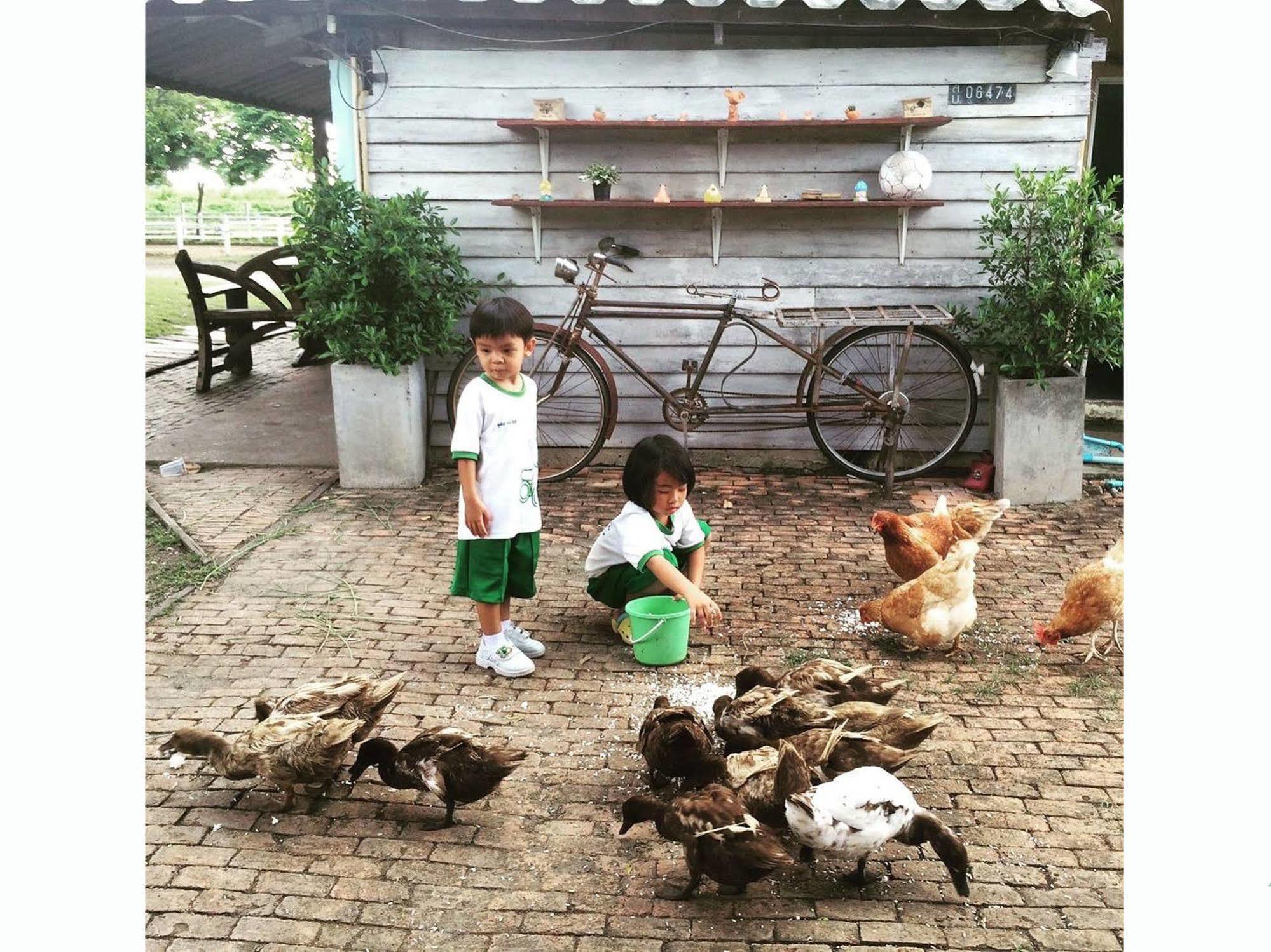 Ban Khok Krathiam Wanlapa Farmstay מראה חיצוני תמונה