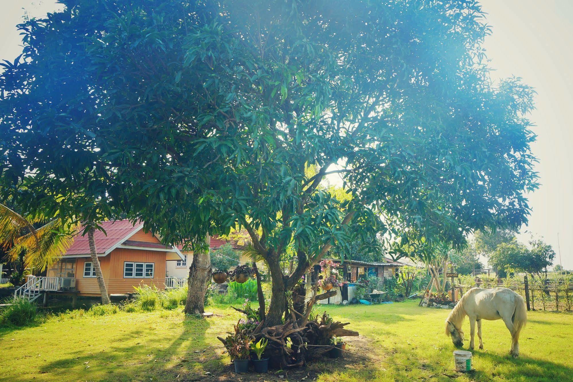 Ban Khok Krathiam Wanlapa Farmstay מראה חיצוני תמונה