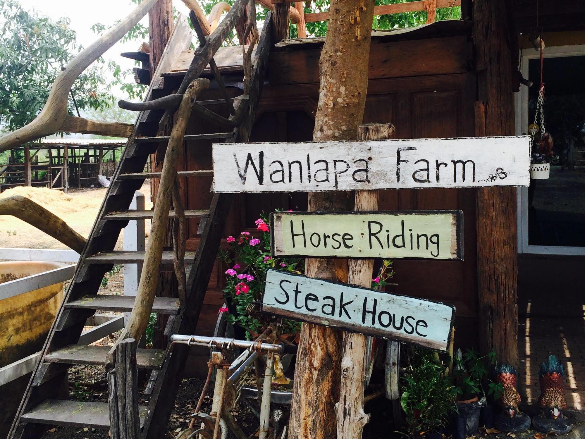 Ban Khok Krathiam Wanlapa Farmstay מראה חיצוני תמונה
