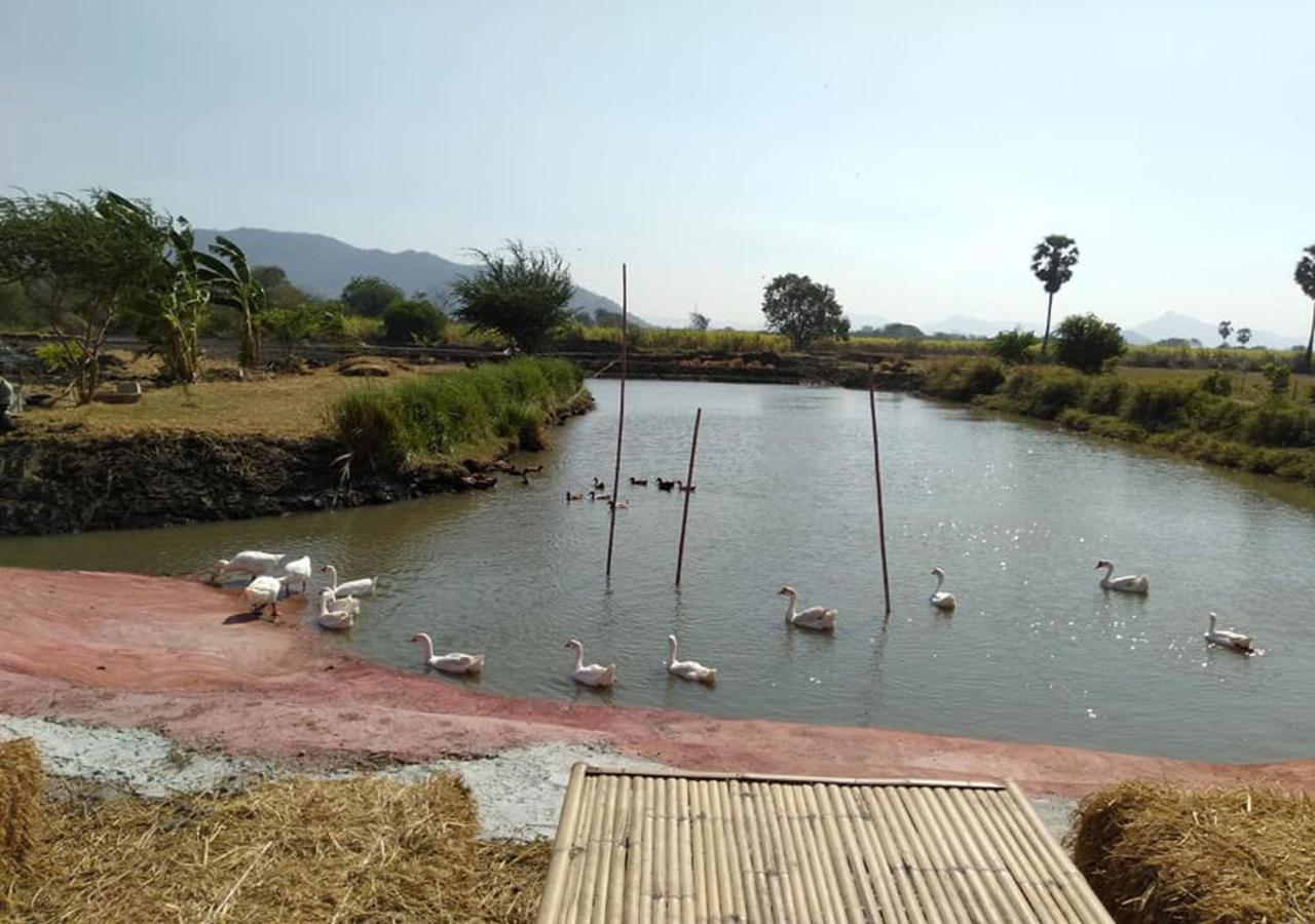 Ban Khok Krathiam Wanlapa Farmstay מראה חיצוני תמונה